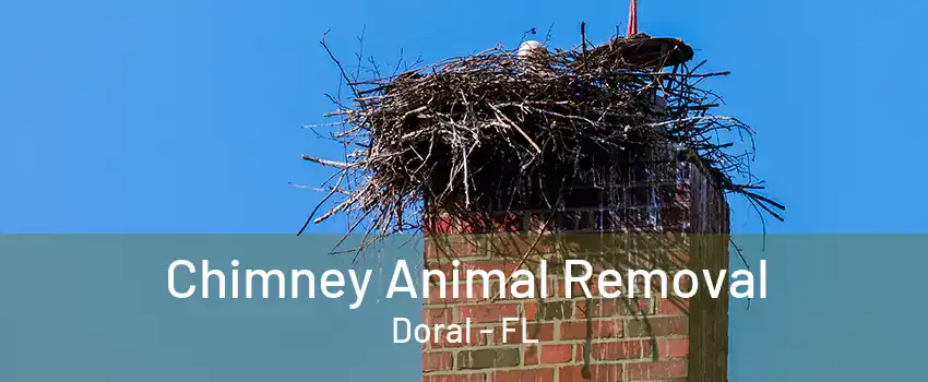 Chimney Animal Removal Doral - FL