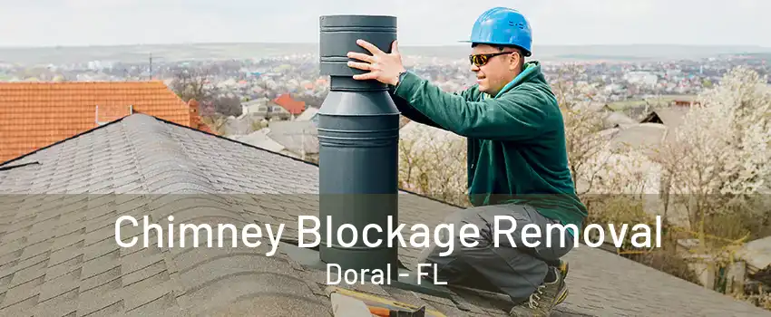 Chimney Blockage Removal Doral - FL