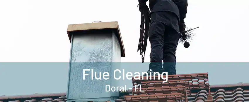 Flue Cleaning Doral - FL