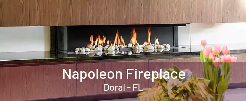 Napoleon Fireplace Doral - FL